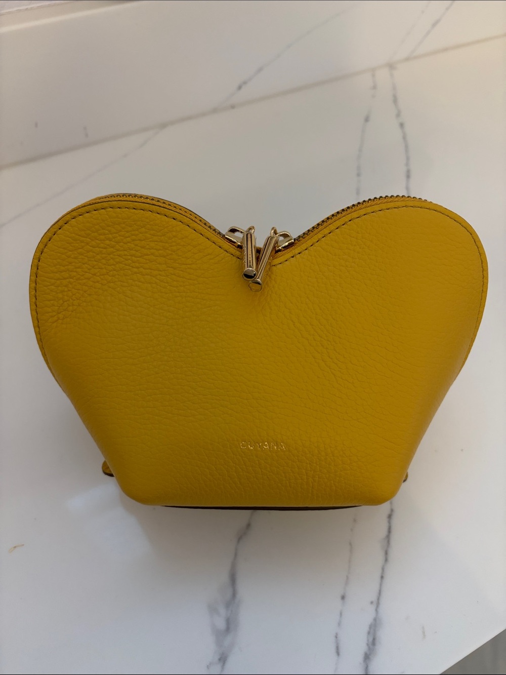 Cuyana Mini Heart Case